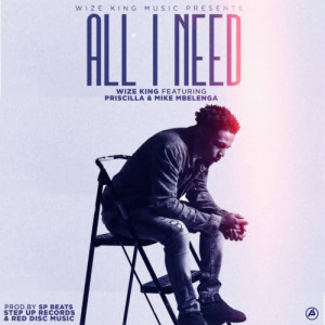 ALL I NEED_Wize King x Mike mbelenga x Pricillah(prod by_sp beats x step up x Red disc musc)